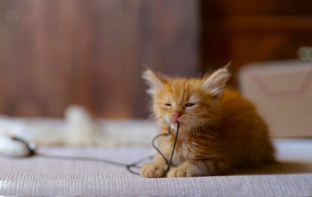 Photograph by Оксана Архипова