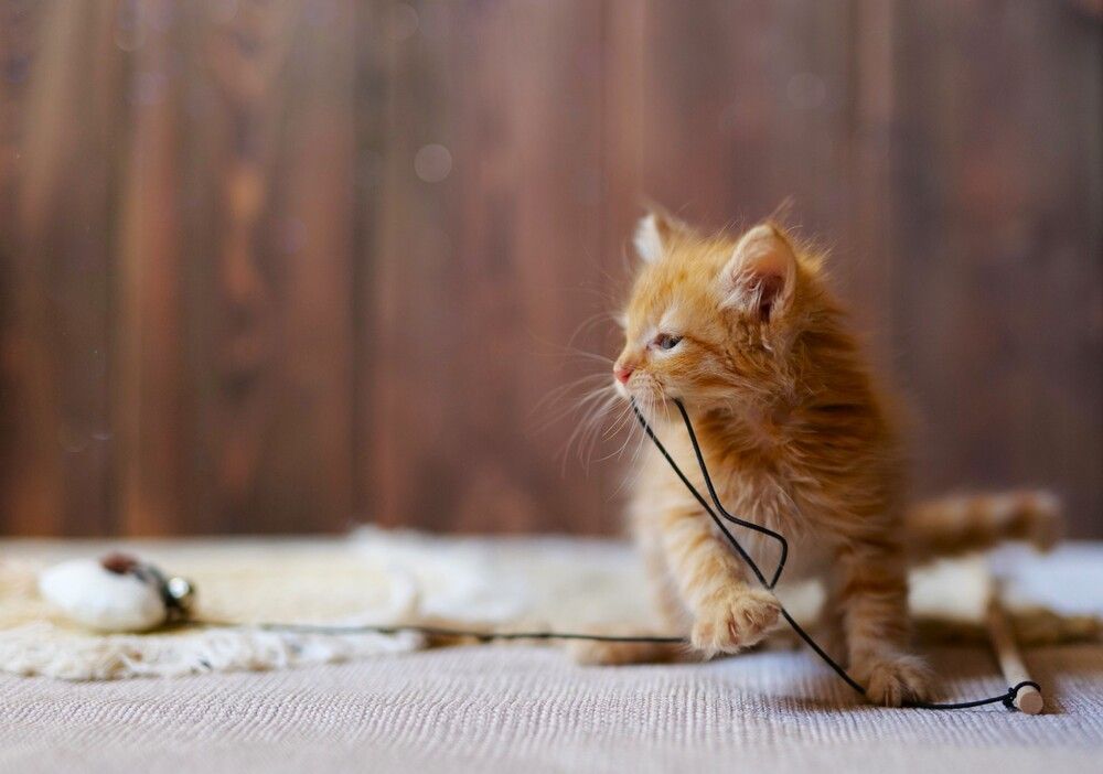 Photograph by Оксана Архипова