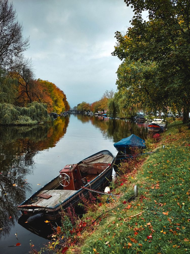 Фотография автора Марина Ротнова