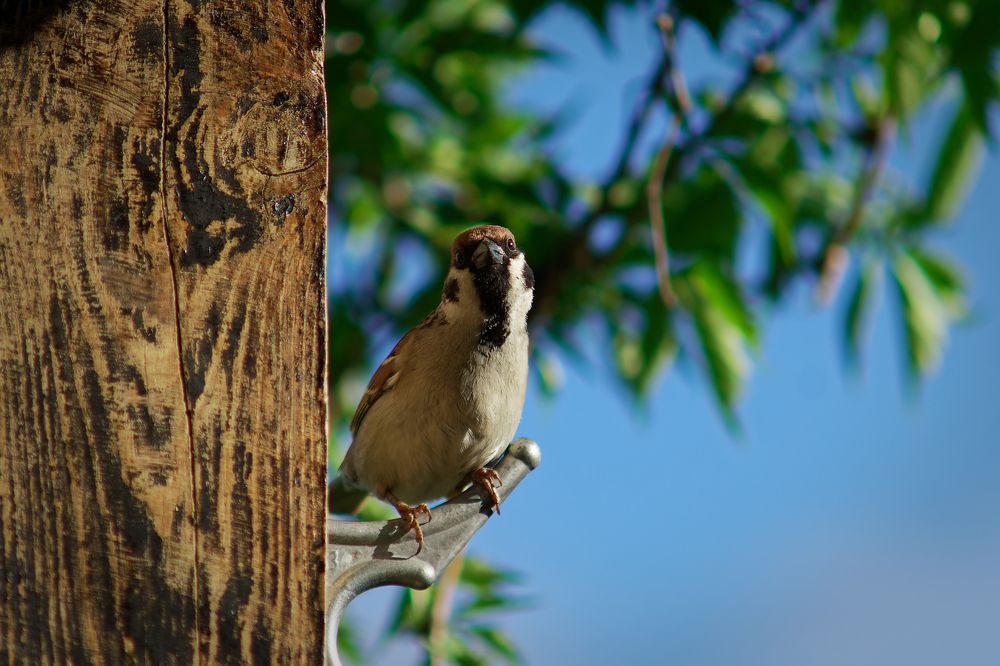 Photograph by Вячеслав Кирьянов