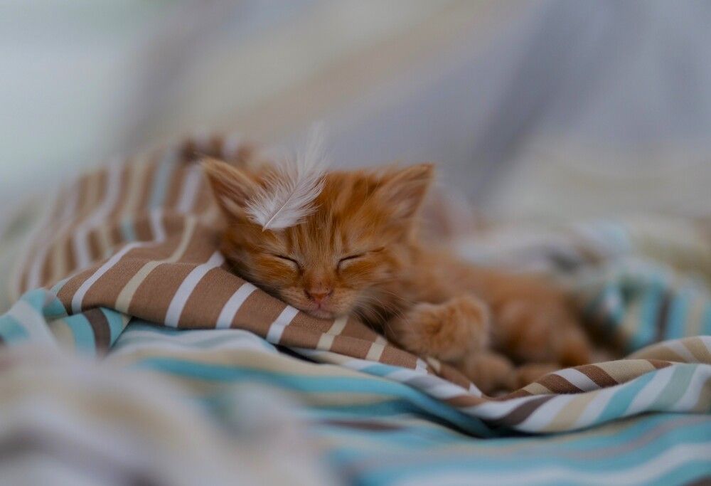 Photograph by Оксана Архипова