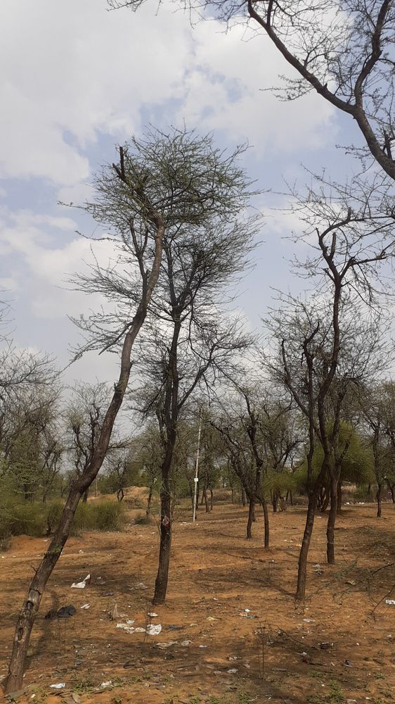 Photograph by Parth Prajapati