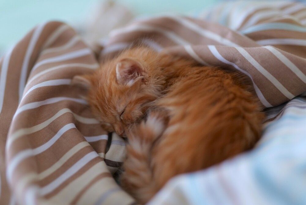 Photograph by Оксана Архипова