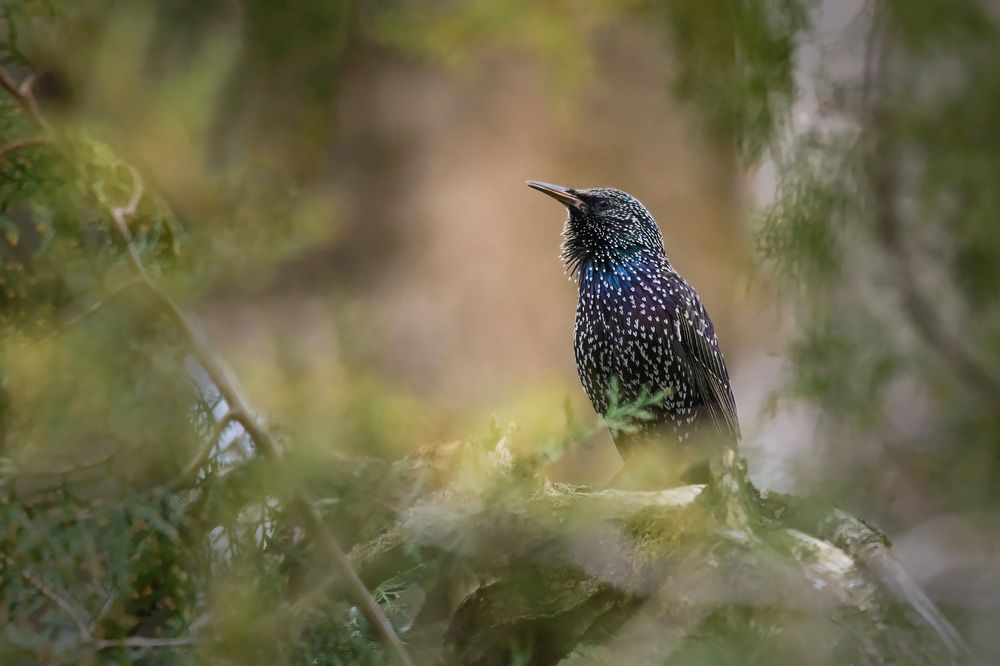 Скоро весна.