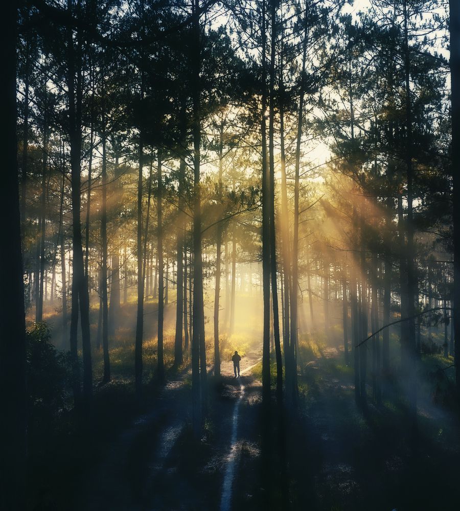 Photograph by Tuấn Nguyễn Tấn