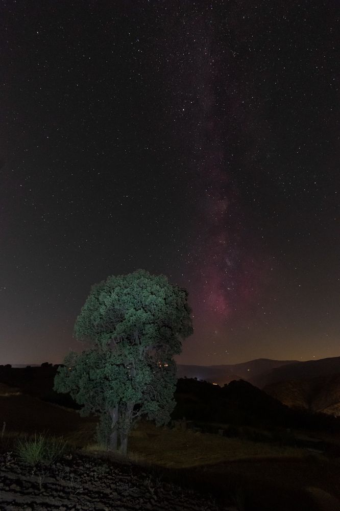 Photograph by Edris Khosravizadeh