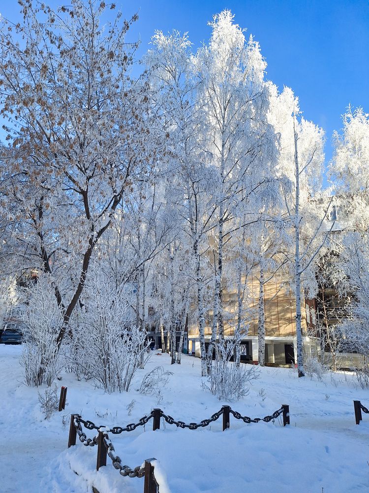 Фотография автора Пешков Егор