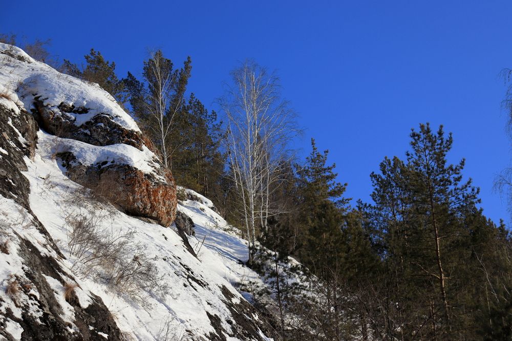 Фотография автора Александр Николаев