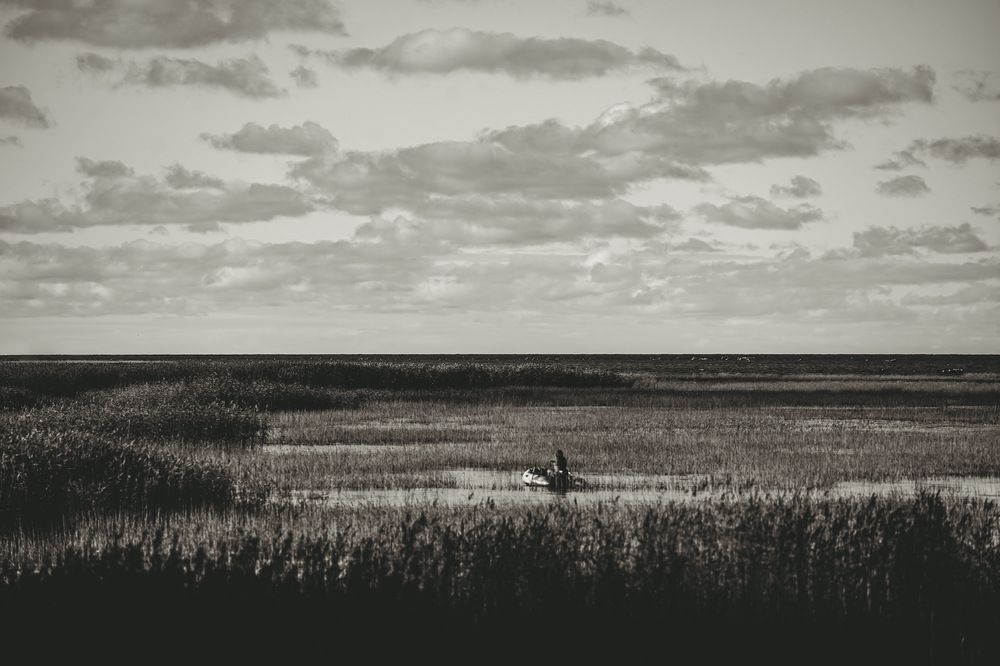 Photograph by Dmitrii Zabuga