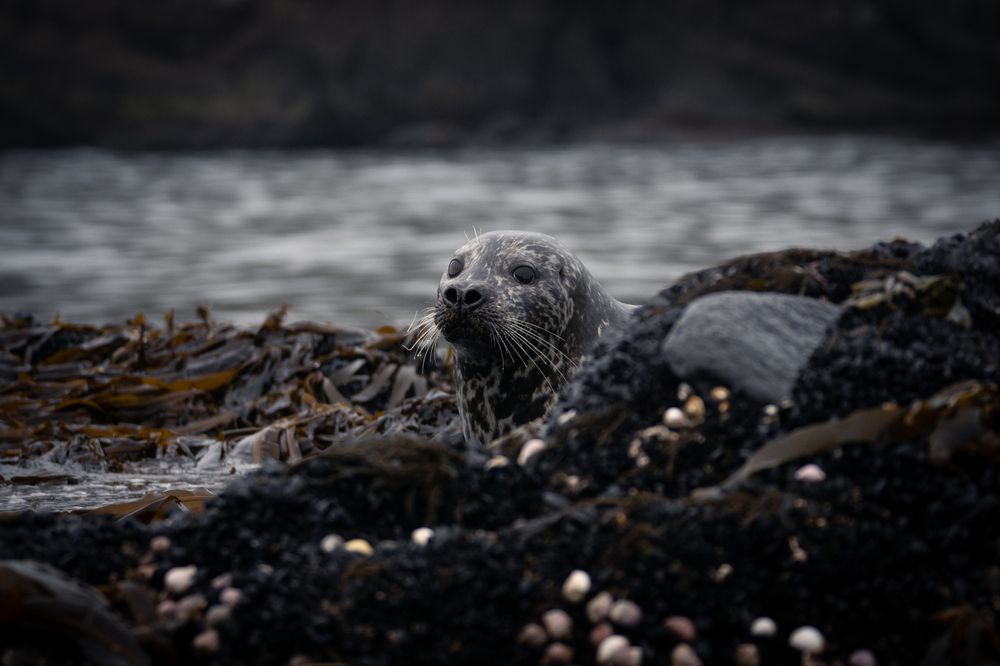 Photograph by Svetlana