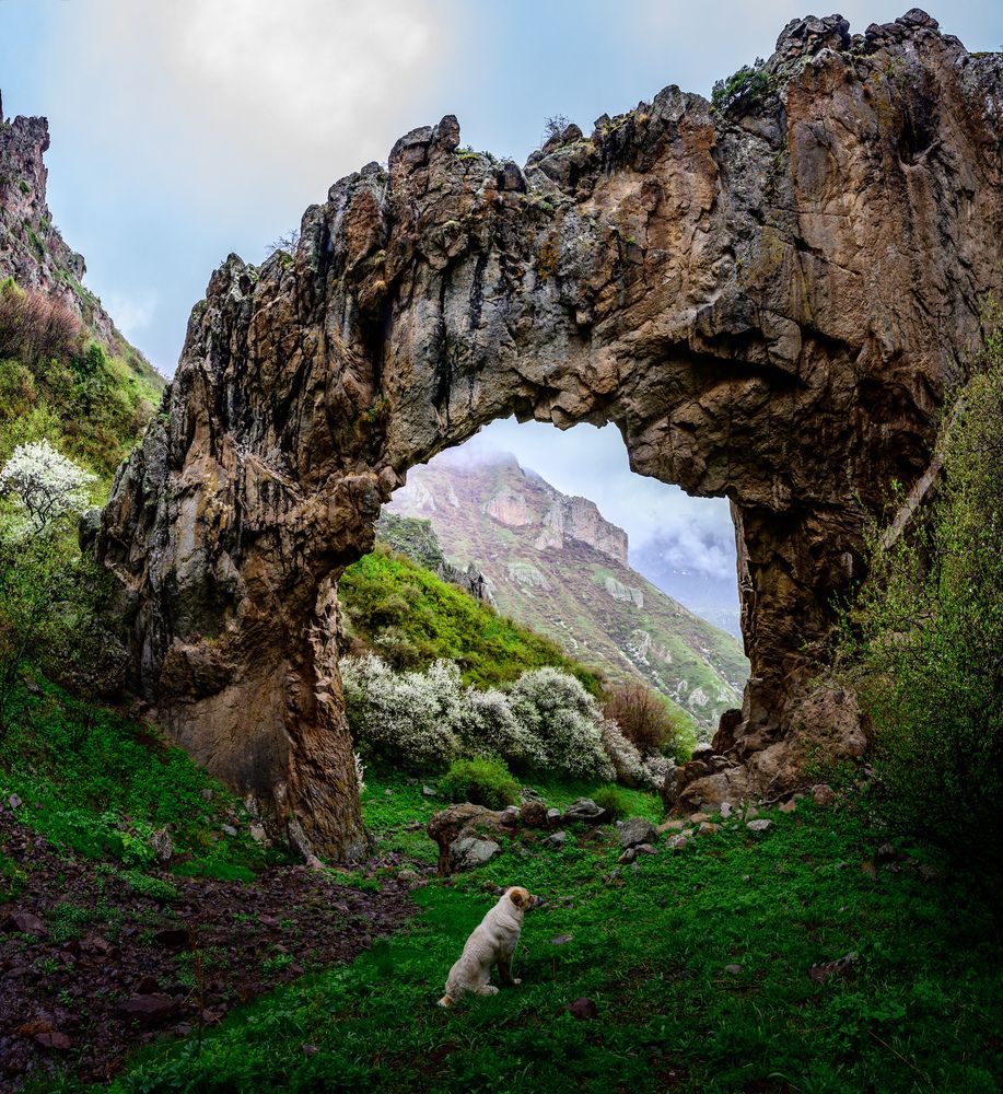 Photograph by Karasev Pavel