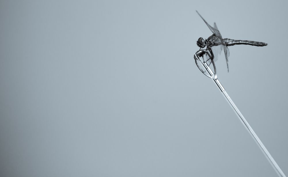 Photograph by Denis Blokhov