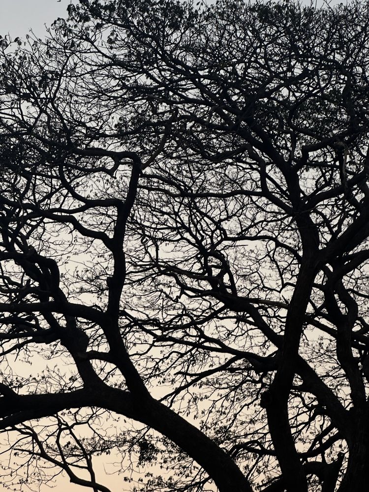 Photograph by Мария