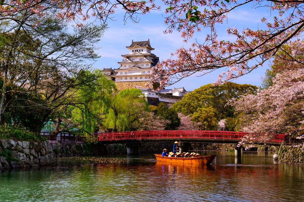 Photograph by Karasev Pavel