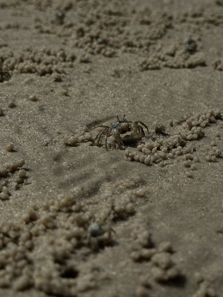 Photograph by Мария