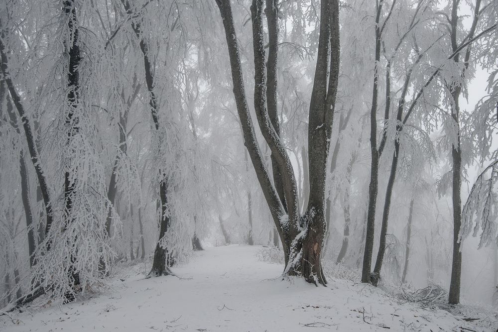 Photograph by Хасан Журтов