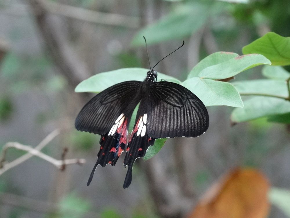 Photograph by Мила Милая