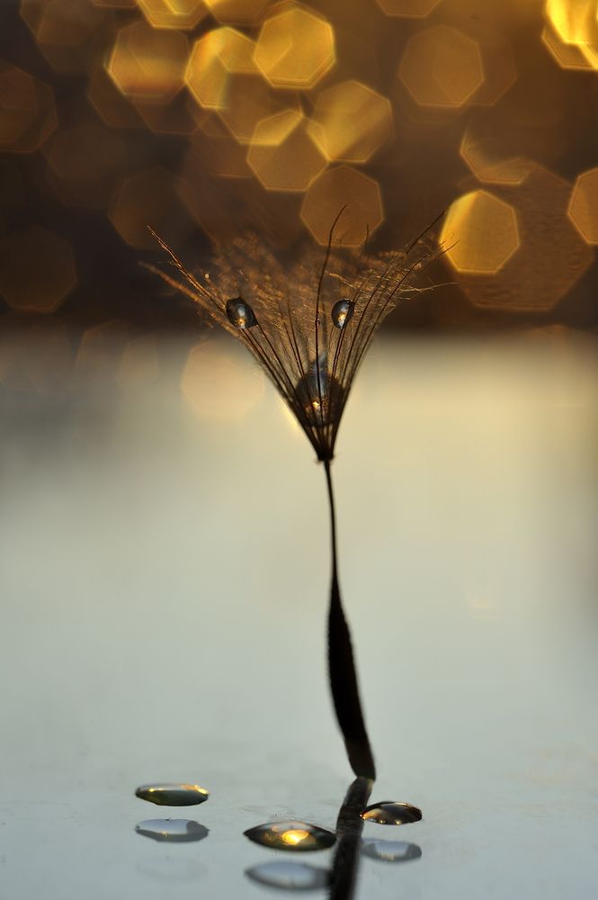 Photograph by Наталья Комиссарова