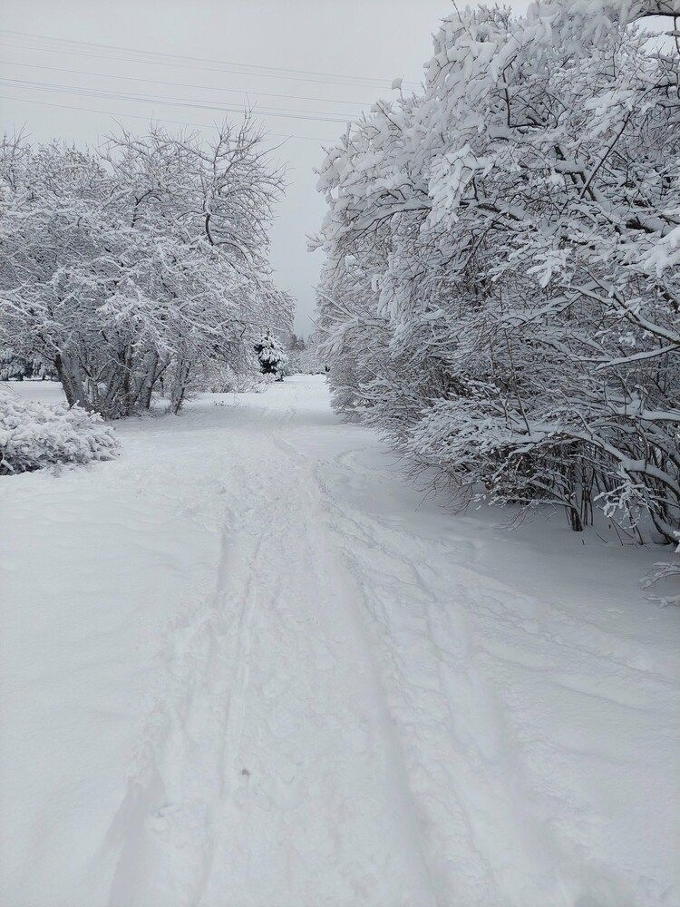 Фотография автора Светлана Дунаева