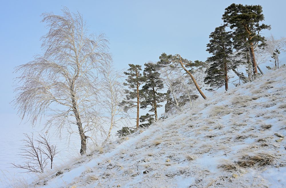 Фотография автора Сергей Сынтин