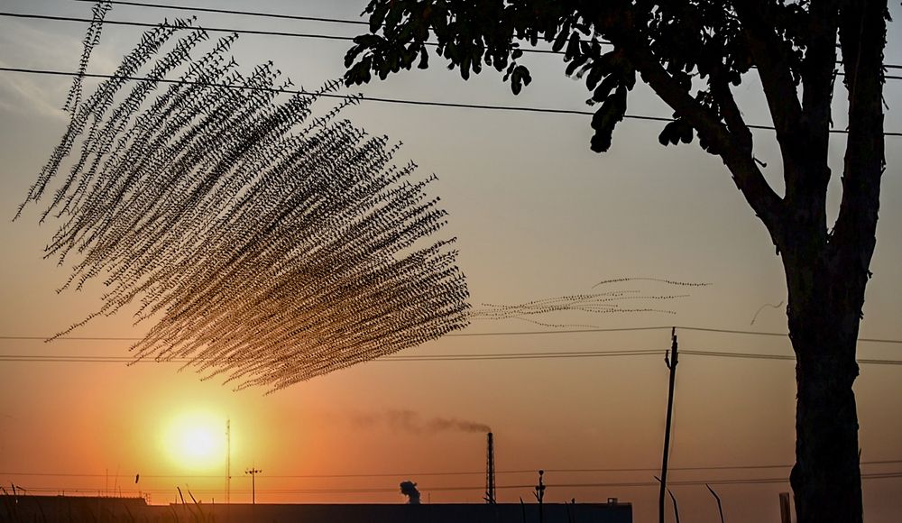 Photograph by Alap Brahmbhatt