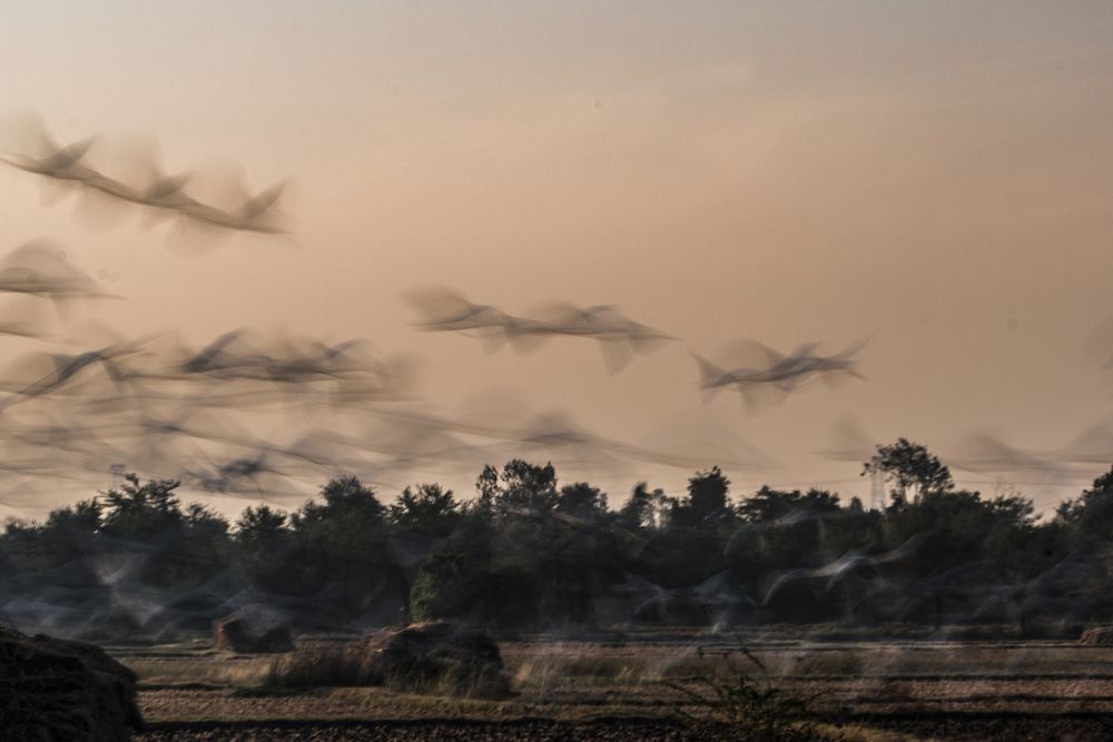 Photograph by Alap Brahmbhatt