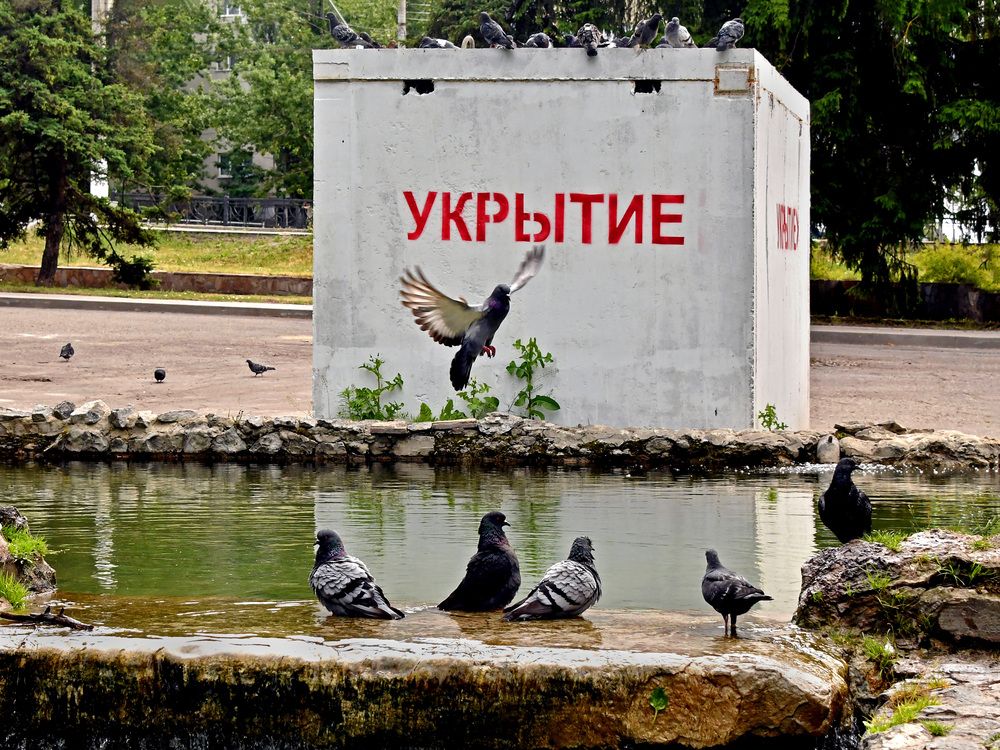 Photograph by Ксения Мироненко