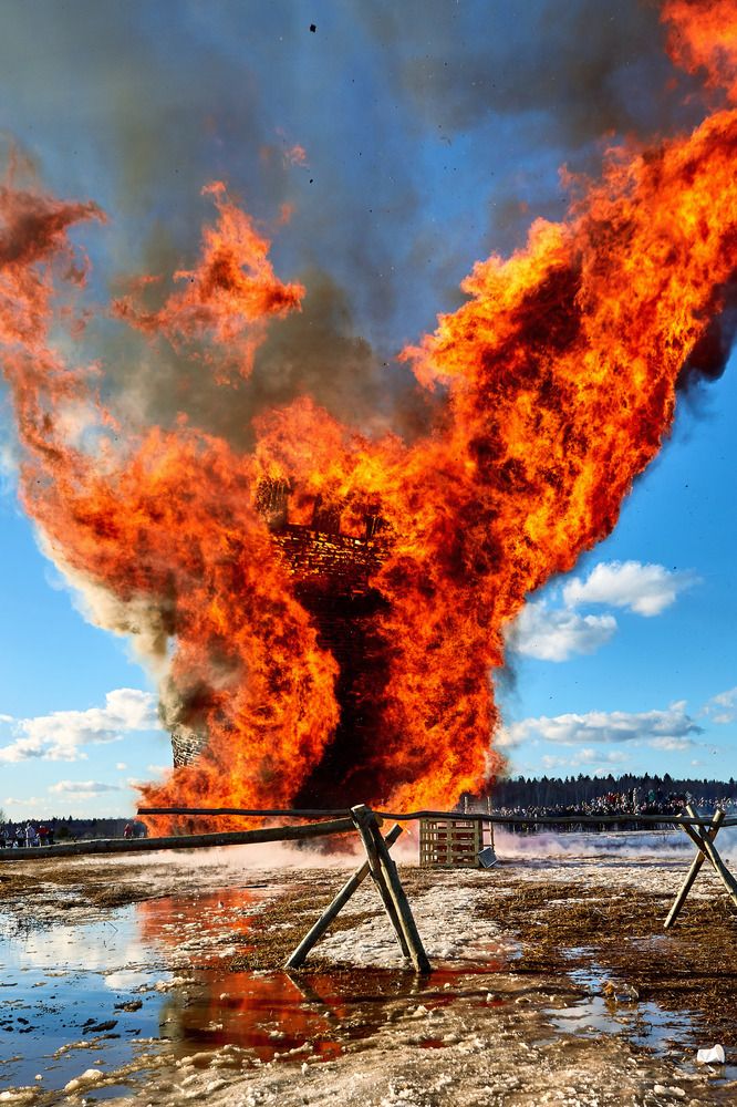 Фотография автора Totoro