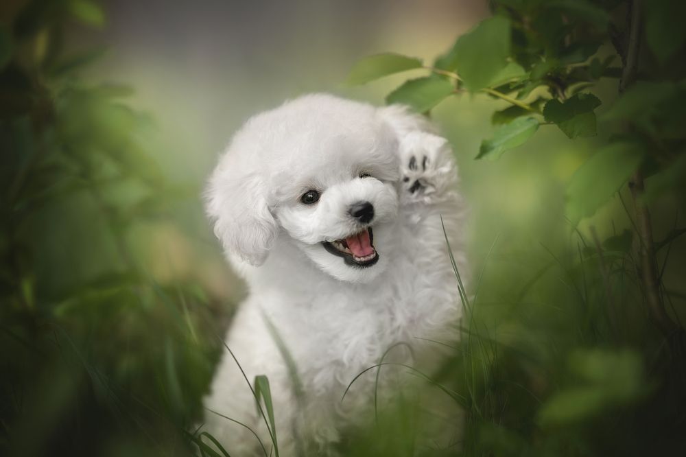 Photograph by Людмила Богуш