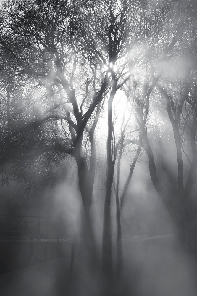 Фотография автора Тамара Караваева