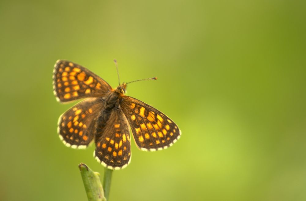 Photograph by Риф Имаев