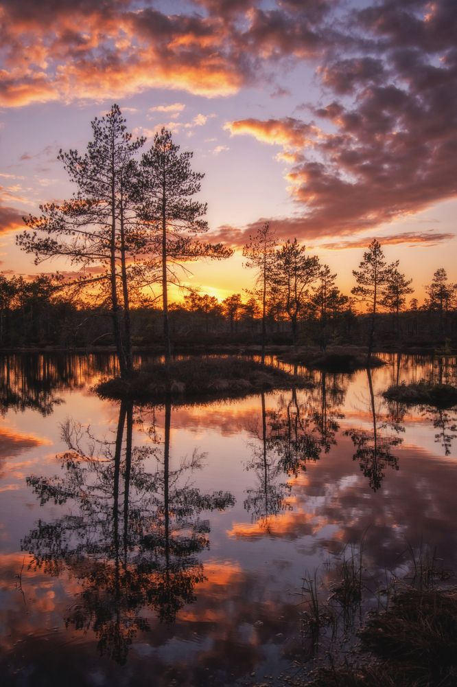 Photograph by Третьякова Анастасия