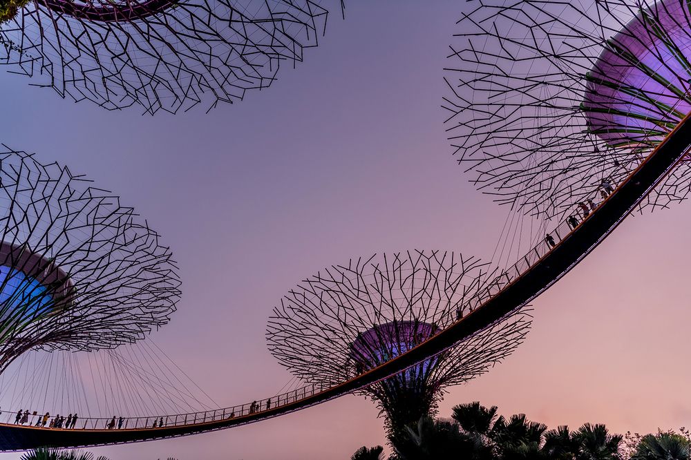 Photograph by Despina Anastasis