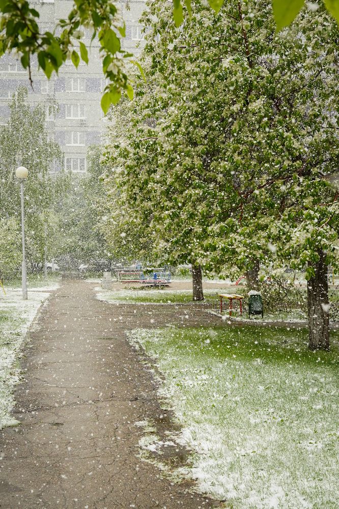 Фотография автора Яна Никольская