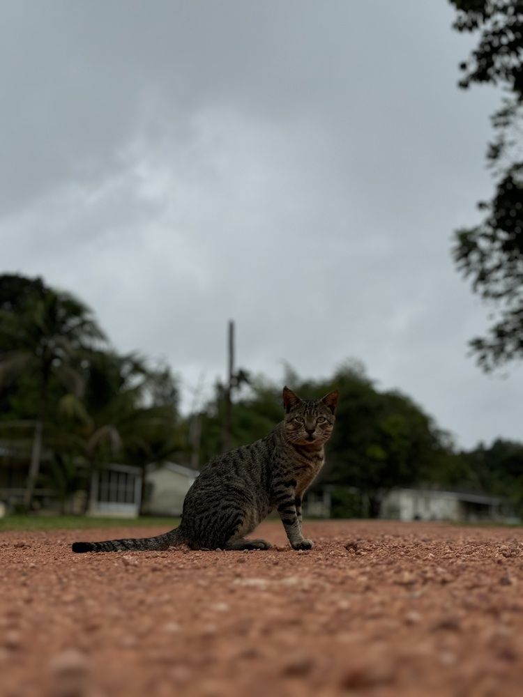 Photograph by Олеся Кузьмичева