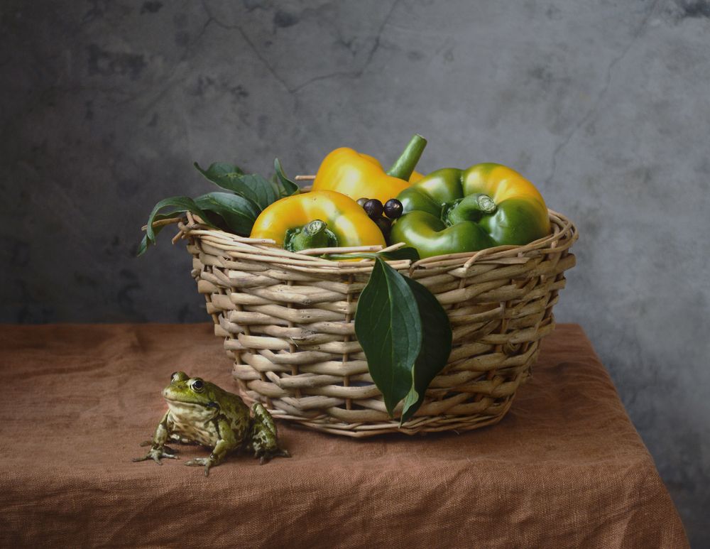 Photograph by Янина Черпухина-Андреева