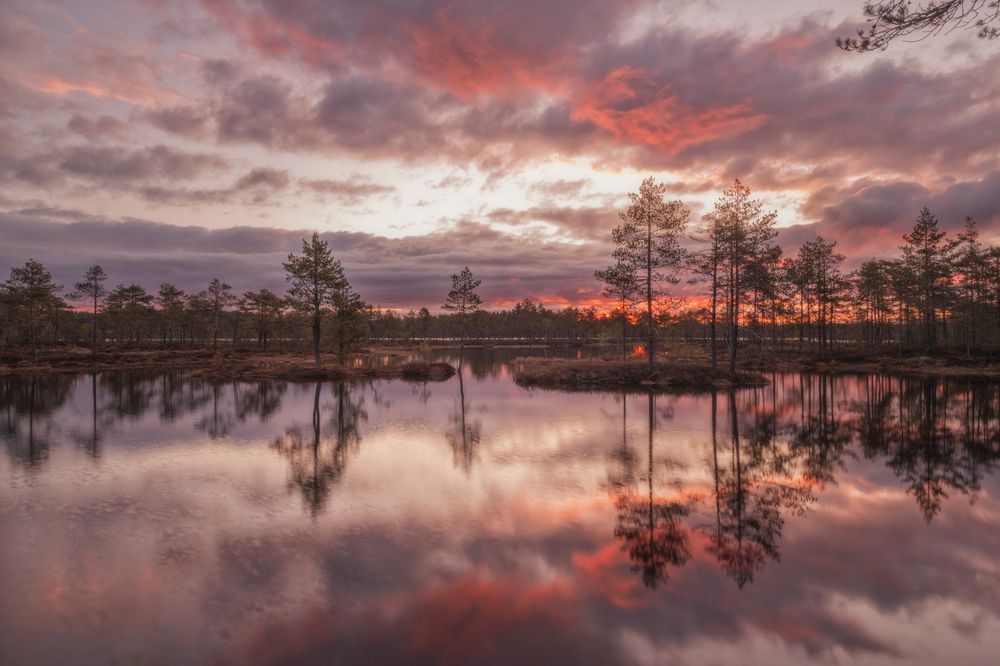 Photograph by Третьякова Анастасия