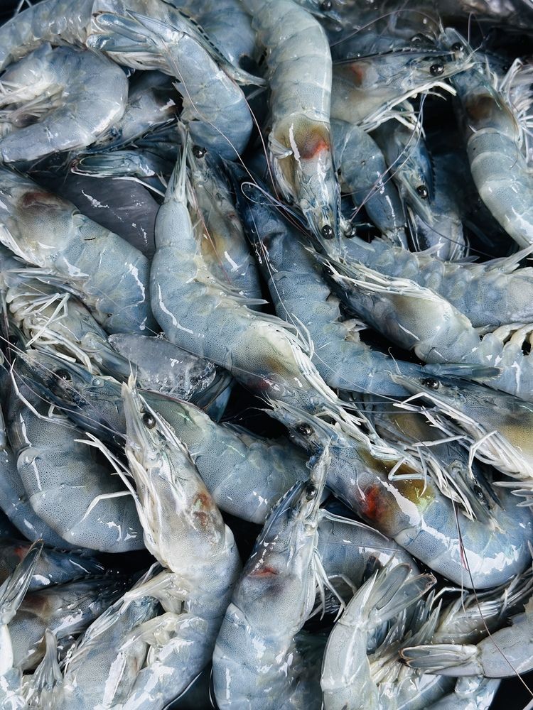 Photograph by Мария