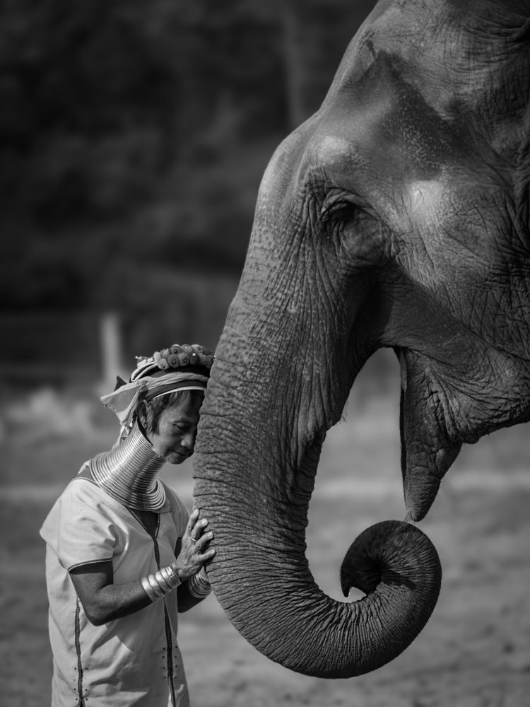 Photograph by Daniel Garzón Moreno