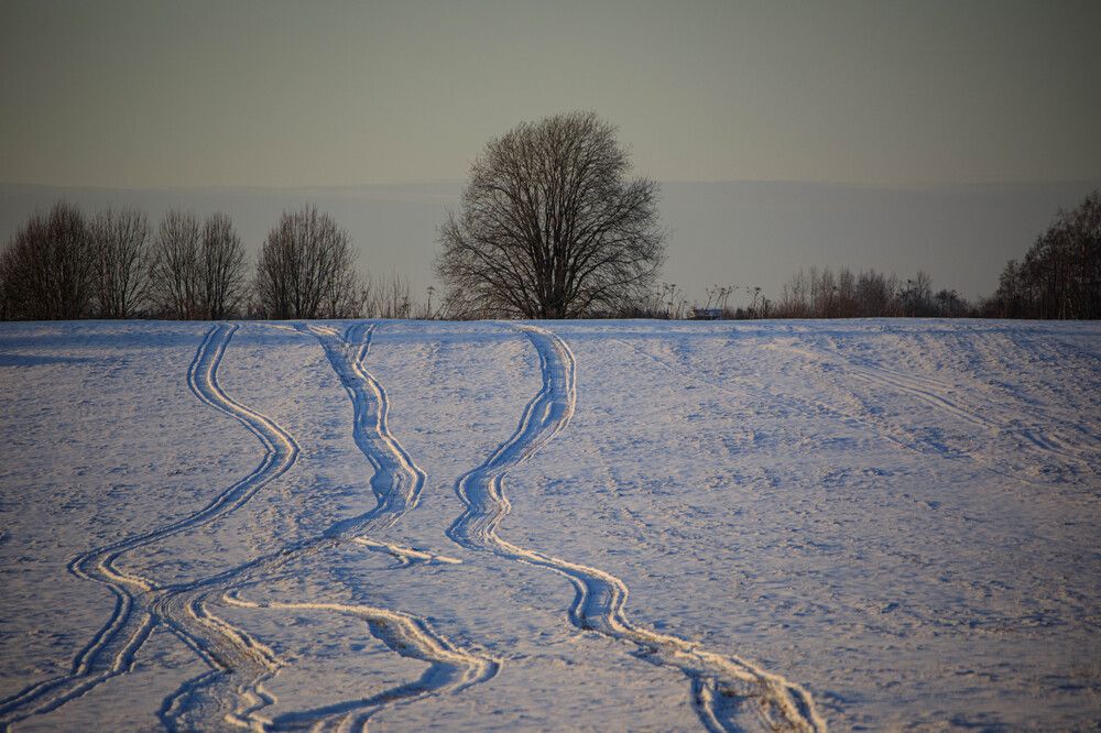 Photograph by Владимир Копков