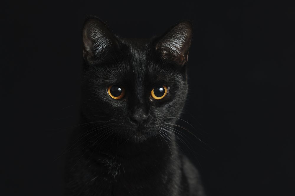 Photograph by Светлана Степашина