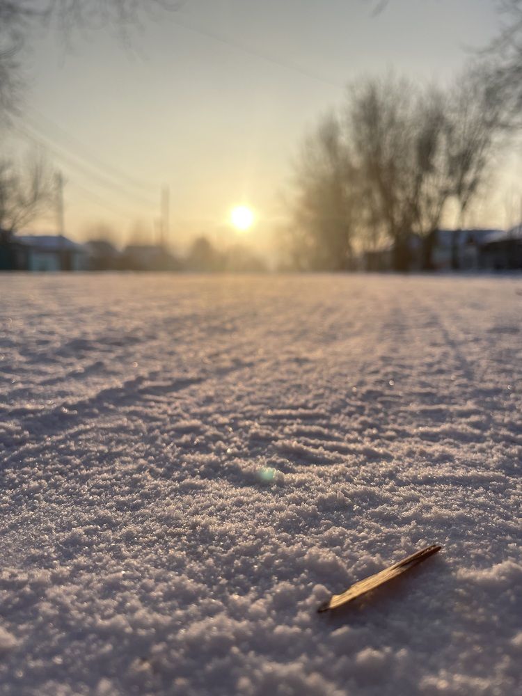 Photograph by Dasha Sew