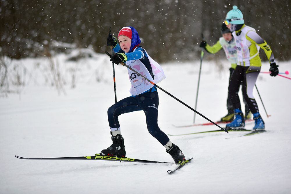 Фотография автора Сергей Сынтин