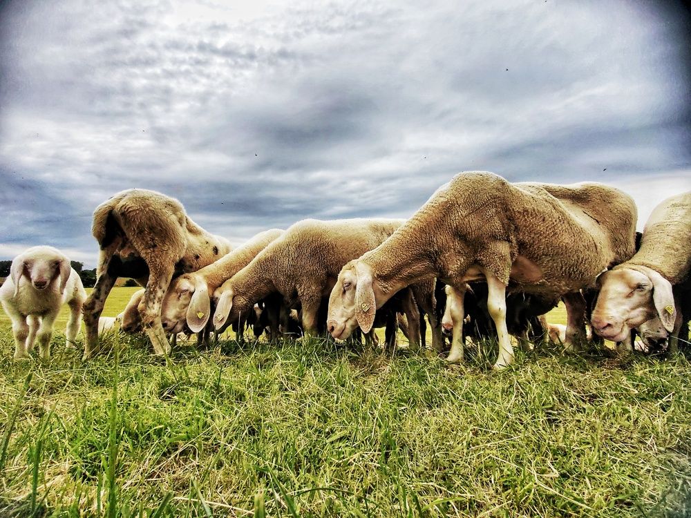 Фотография автора Василий Рябовол