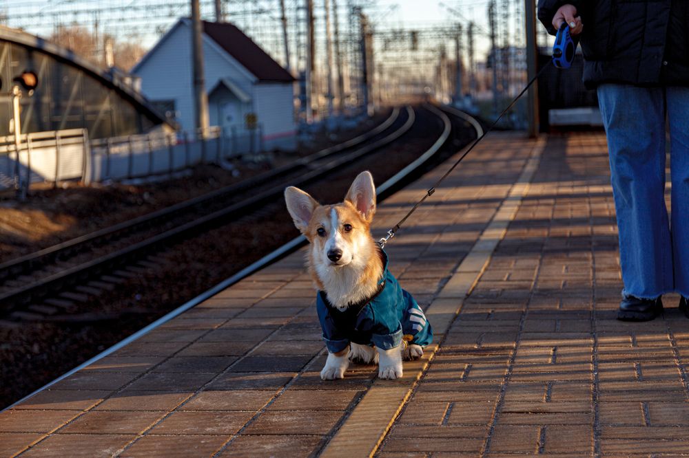 Photograph by Сергей Коклин