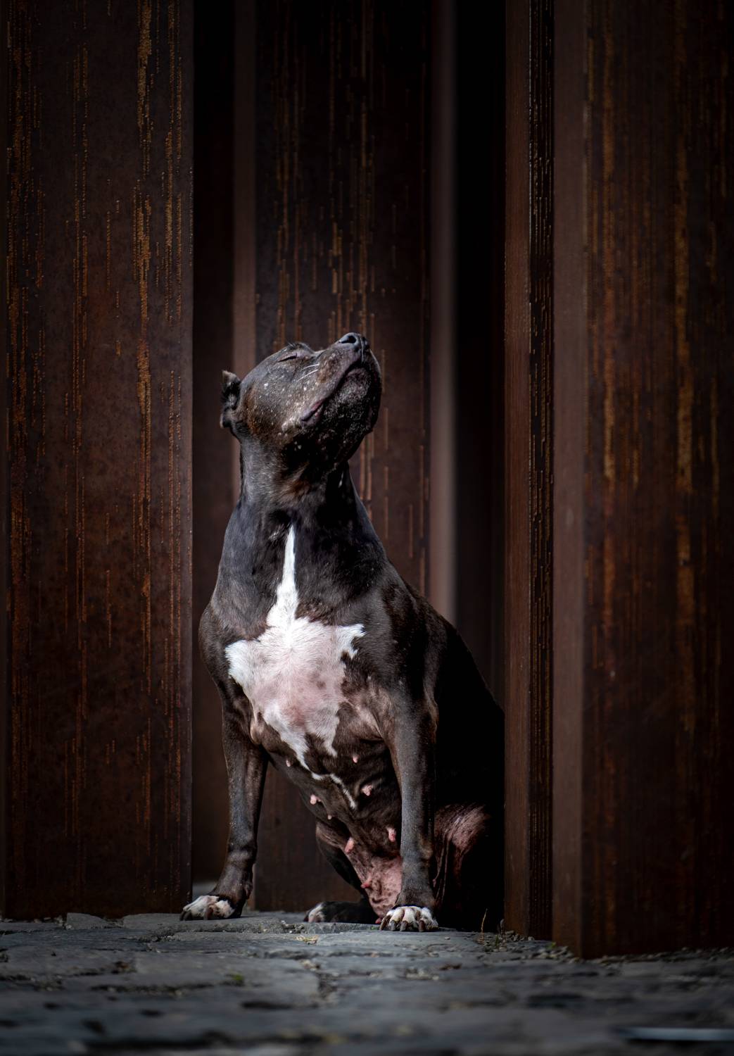 Фотография #11993624