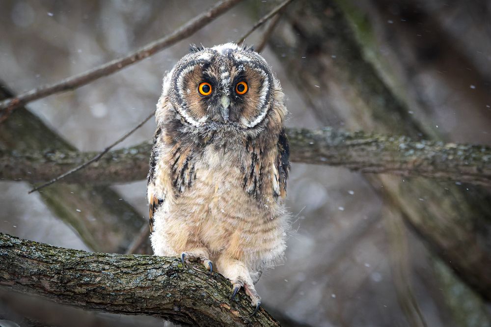 Photograph by Вера Машина