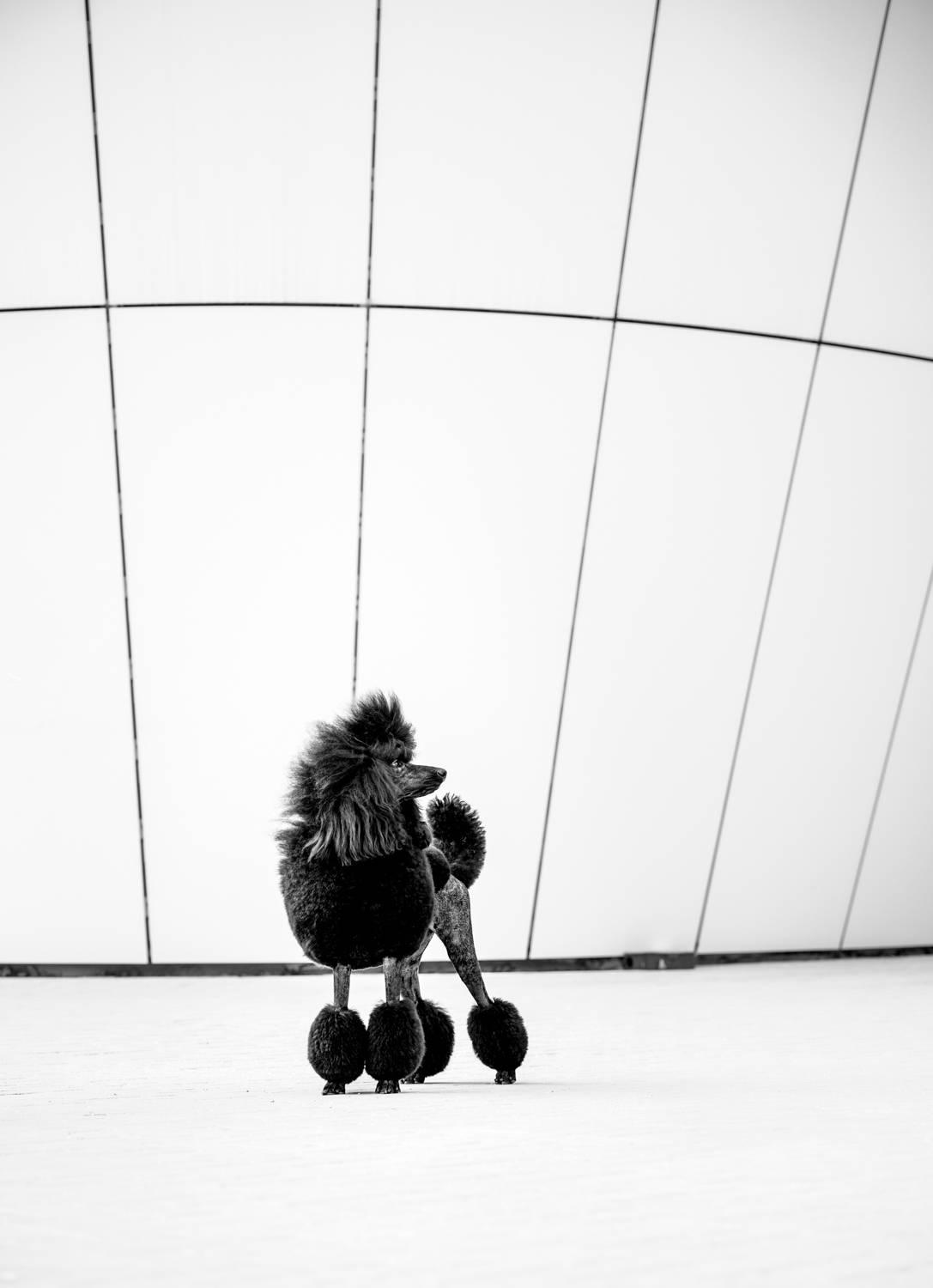 Фотография #11993661