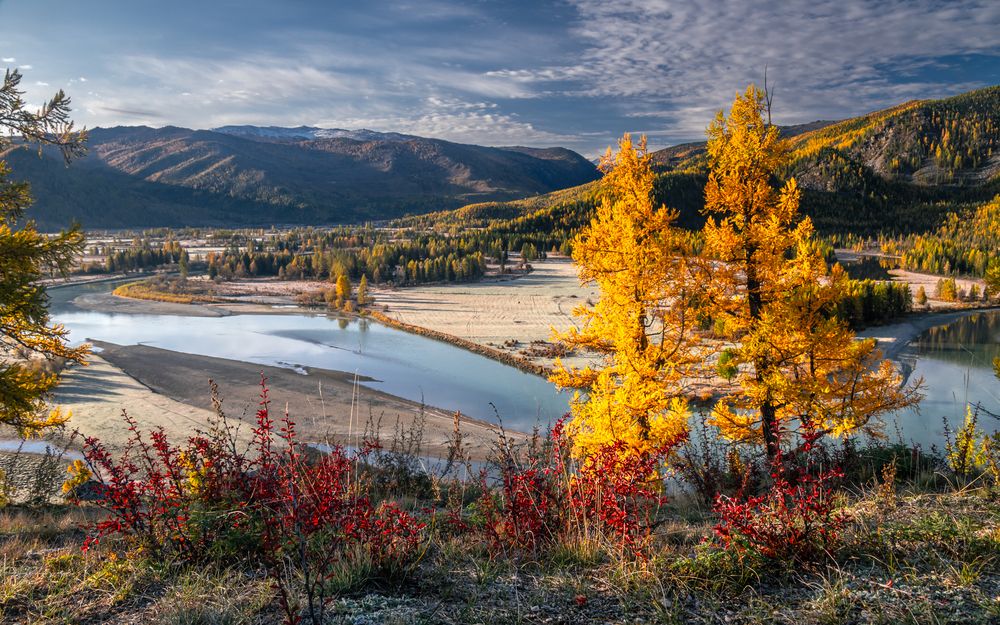 Photograph by Devender Mark