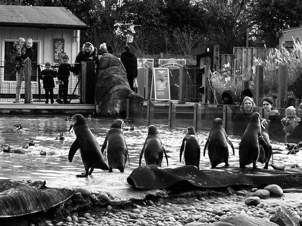 Photograph by Светлана Ионова